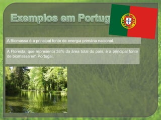 É uma energia segura e com grande potencial.Desvantagens da BiomassaTecnologia em desenvolvimento.