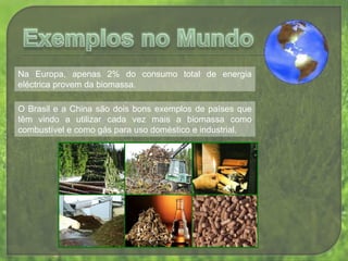 É necessário efectuar um melhoramento da eficácia dos sistemas sanitários, de modo a diminuir o desperdício da matéria, por exemplo, sob a forma de gás. Exemplos em PortugalA Biomassa é a principal fonte de energia primária nacional.A Floresta, que representa 38% da área total do país, é a principal fonte de biomassa em Portugal.