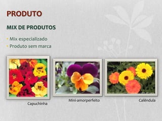 PRODUTO
MIX DE PRODUTOS
• Mix especializado
• Produto sem marca




                      Mini-amorperfeito   Calêndula
        Capuchinha
 