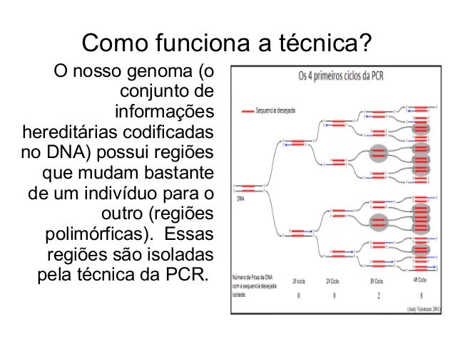 Como e feito o exame de dna