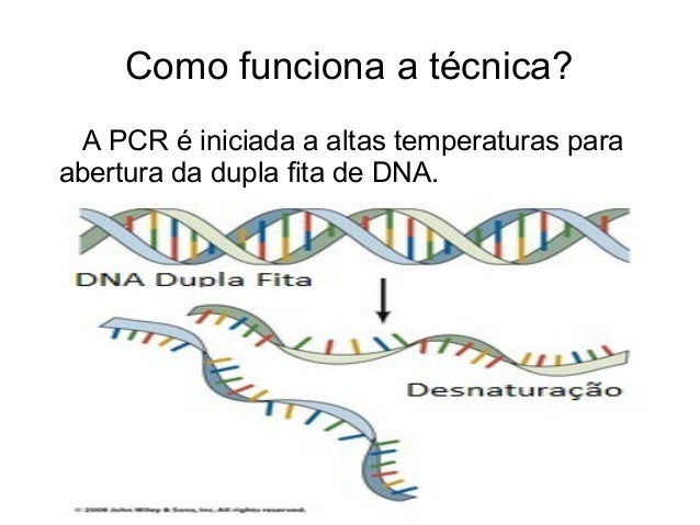Como e feito o exame de dna