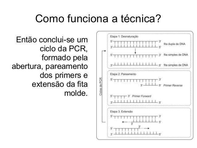 Como e feito o exame de dna