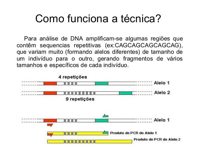 Como se conclui um trabalho