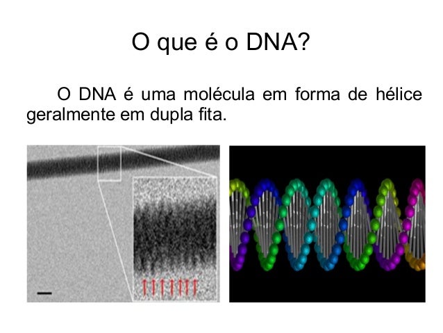 Como e feito o exame de dna