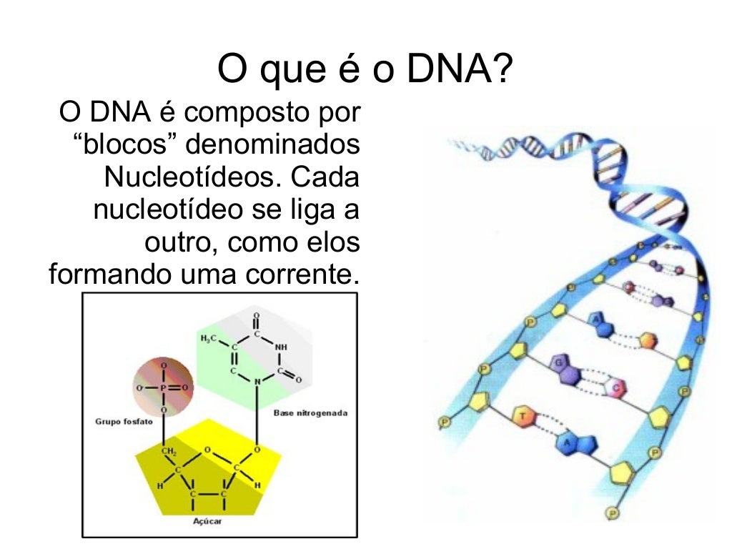 Como é feito o Exame de DNA?