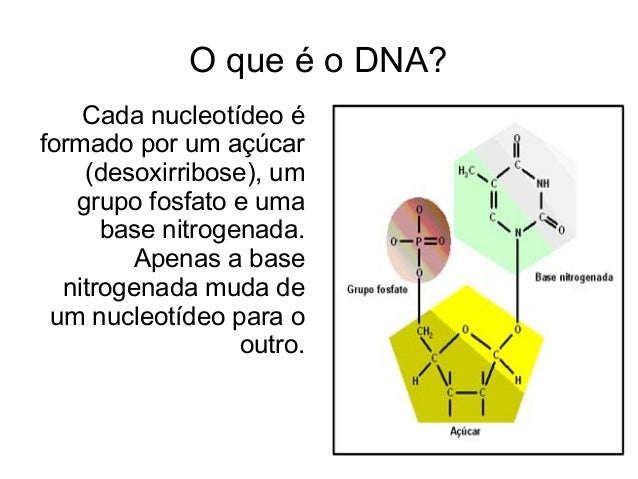 Como e feito o exame de dna