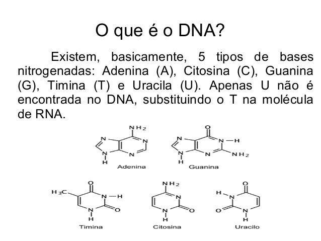 Como e feito o exame de dna