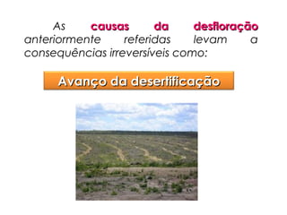 As
causas
da
desfloração
anteriormente
referidas
levam
a
consequências irreversíveis como:

Avanço da desertificação

 