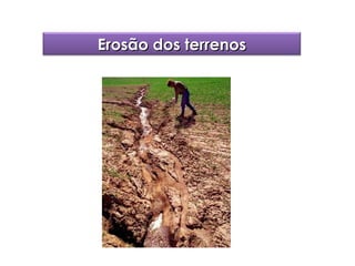 Erosão dos terrenos

 