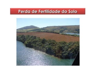 Perda de Fertilidade do Solo

 
