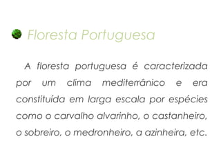 Floresta Portuguesa
A floresta portuguesa é caracterizada
por

um

clima

mediterrânico

e

era

constituída em larga escala por espécies
como o carvalho alvarinho, o castanheiro,
o sobreiro, o medronheiro, a azinheira, etc.

 