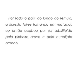 Por todo o país, ao longo do tempo,
a floresta foi-se tornando em matagal,
ou então acabou por ser substituída
pelo pinheiro bravo e pelo eucalipto
branco.

 