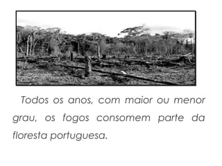 Todos os anos, com maior ou menor
grau, os fogos consomem parte da
floresta portuguesa.

 