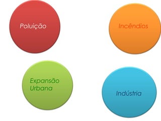 Poluição

Expansão
Urbana

Incêndios

Indústria

 