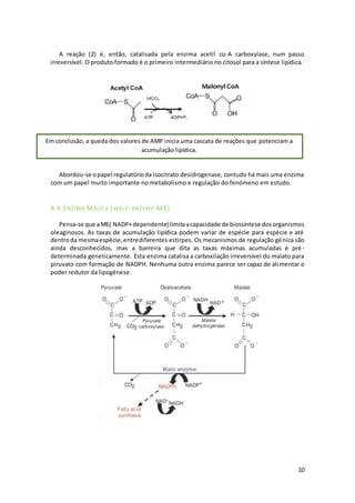 10
A reação (2) é, então, catalisada pela enzima acetil co-A carboxylase, num passo
irreversível. O produto formado é o primeiro intermediário no citosol para a síntese lipídica.
Abordou-se opapel regulatórioda isocitrato desidrogenase, contudo há mais uma enzima
com um papel muito importante no metabolismo e regulação do fenómeno em estudo.
4.4.ENZIMA MÁLICA (MALIC ENZYME-ME)
Pensa-se que aME( NADP+dependente) limitaacapacidade de biossíntese dosorganismos
oleaginosos. As taxas de acumulação lipídica podem variar de espécie para espécie e até
dentroda mesmaespécie,entrediferentes estirpes. Os mecanismos de regulação génica são
ainda desconhecidos, mas a barreira que dita as taxas máximas acumuladas é pré-
determinada geneticamente. Esta enzima catalisa a carboxilação irreversível do malato para
piruvato com formação de NADPH. Nenhuma outra enzima parece ser capaz de alimentar o
poder redutor da lipogénese.
Em conclusão, a queda dos valores de AMP inicia uma cascata de reações que potenciam a
acumulação lipídica.
 