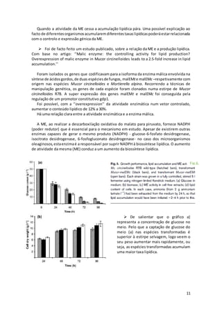 11
Quando a atividade da ME cessa a acumulação lipídica pára. Uma possível explicação ao
facto de diferentesorganismosacumularemdiferentestaxaslipídicaspoderáestarrelacionada
com o controlo e expressão génica da ME.
 Foi de facto feito um estudo publicado, sobre a relação da ME e a produção lipídica.
Com base no artigo: ‘’Malic enzyme: the controlling activity for lipid production?
Overexpression of malic enzyme in Mucor circinelloides leads to a 2.5-fold increase in lipid
accumulation.’’
Foram isolados os genes que codificavam para a isoforma da enzima málica envolvida na
síntese de ácidosgordos,de duas espéciesde fungos, malEMte malEMc –respetivamente com
origem nas espécies Mucor circinelloides e Mortierella alpina. Recorrendo a técnicas de
manipulação genética, os genes de cada espécie foram clonados numa estirpe de Mucor
circinelloides R7B. A super expressão dos genes malEMt e malEMc foi conseguida pela
regulação de um promotor constitutivo gdp1.
Foi possível, com a ‘’overexpression’’ da atividade enzimática num vetor controlado,
aumentar o conteúdo lipídico de 12% a 30%.
Há uma relação clara entre a atividade enzimática e a enzima málica.
A ME, ao realizar a descarboxilação oxidativa do malato para piruvato, fornece NADPH
(poder redutor) que é essencial para o mecanismo em estudo. Apesar de existirem outras
enzimas capazes de gerar o mesmo produto (NADPH) - glucose-6-fosfato desidrogenase,
isocitrato desidrogenase, 6-fosfogluconato desidrogenase- no caso dos microorganismos
oleaginosos,estaenzimaé a responsável por suprir NADPH à biossíntese lipídica. O aumento
de atividade da mesma (ME) conduz a um aumento da biossíntese lipídica.
 De salientar que o gráfico a)
representa a concentração de glucose no
meio. Pelo que a captação de glucose do
meio (a) nas espécies transformadas é
superior à estirpe selvagem, logo veem o
seu peso aumentar mais rapidamente, ou
seja, as espécies transformadas acumulam
uma maior taxa lipídica.
Fig.6.
 