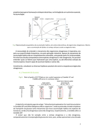 7
propícias(para gerar biomassa) e sódepoisdestafase,nalimitaçãode umnutriente essencial,
há acumulação.
A necessidade de entender o mecanismo dos organismos oleaginosos é imperativa, ora
pela sua especificidade bioquímica, ora pela aplicação industrial. Apesar do mecanismo de
acumulaçãolipídicanãoser completamente entendido, uma grande parte foi já desvendada.
Por diversosestudoscomparativosentreespécies oleaginosas e não oleaginosas, foi possível
entender quais os fatores que implicavam que uma espécie, ou até diferentes estirpes da
mesma espécie, fossem capaz de acumular lípidos e outras não.
Inicialmente, estudaram-se diversas hipóteses possíveis de serem a resposta ao enigma dos
oleaginosos:
4.1.TRANSPORTE DE GLUCOSE
A tabelafoi retiradadoseguinte artigo:‘’A biochemical explanation for Lipid Accumulation
inCandida 107 and OtherOleaginous Micro-organisms’’ondese pretendeuestudarahipótese
do transporte da glucose como mecanismo que leva à acumulação lipídica nas espécies de
leveduras,sendoumaoleaginosae outranão oleaginosa, respetivamente, a Candida utilis e a
Candida 107.
É visível que não há variação entre a estirpe oleaginosa e a não oleaginosa,
comparativamente àincorporaçãode glucose do meio, pois, ambas apresentam uma elevada
Fig.3 Representação esquemática da acumulação lipídica, em cultura descontínua, de organismos oleaginosos. Mostra
que a acumulação de lípidos só começa até que o azoto se esgote do meio.
Fig.4.
 