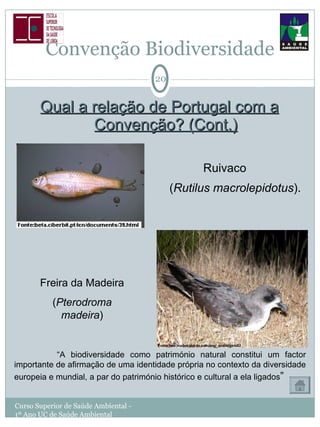 Convenção Biodiversidade Qual a relação de Portugal com a Convenção? (Cont.) Ruivaco  ( Rutilus macrolepidotus ).   Curso Superior de Saúde Ambiental - 1º Ano UC de Saúde Ambiental Freira da Madeira ( Pterodroma madeira ) “ A biodiversidade como património natural constitui um factor importante de afirmação de uma identidade própria no contexto da diversidade europeia e mundial, a par do património histórico e cultural a ela ligados ” 