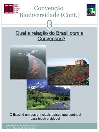 Convenção  Biodiversidade (Cont.) Qual a relação do Brasil com a Convenção? Curso Superior de Saúde Ambiental - 1º Ano UC de Saúde Ambiental O Brasil é um dos principais países que contribui para biodiversidade! 