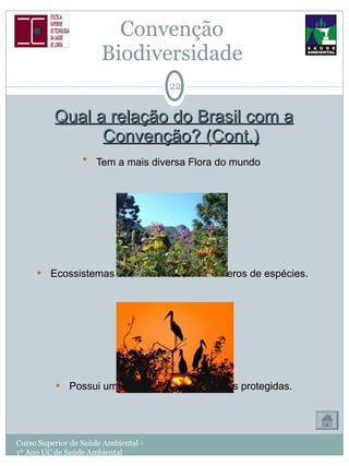 Convenção  Biodiversidade  Qual a relação do Brasil com a Convenção? (Cont.) Tem a mais diversa Flora do mundo   Ecossistemas bastantes ricos em números de espécies.  Possui um extenso sistema de áreas protegidas. Curso Superior de Saúde Ambiental - 1º Ano UC de Saúde Ambiental 