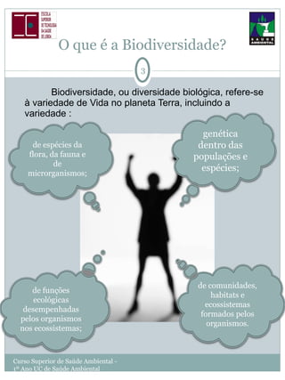 O que é a Biodiversidade? Biodiversidade, ou diversidade biológica, refere-se à variedade de Vida no planeta Terra, incluindo a variedade : Curso Superior de Saúde Ambiental - 1º Ano UC de Saúde Ambiental genética dentro das populações e espécies; de espécies da flora, da fauna e de microrganismos; de funções ecológicas desempenhadas pelos organismos nos ecossistemas; de comunidades, habitats e ecossistemas formados pelos organismos. 