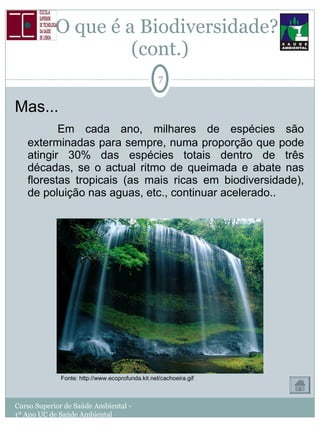 O que é a Biodiversidade?  (cont.) Mas... Em cada ano, milhares de espécies são exterminadas para sempre, numa proporção que pode atingir 30% das espécies totais dentro de três décadas, se o actual ritmo de queimada e abate nas florestas tropicais (as mais ricas em biodiversidade), de poluição nas aguas, etc., continuar acelerado.. Curso Superior de Saúde Ambiental - 1º Ano UC de Saúde Ambiental Fonte: http://www.ecoprofunda.kit.net/cachoeira.gif 