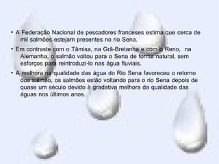 ●
A Federação Nacional de pescadores franceses estima que cerca de
mil salmões estejam presentes no rio Sena.
●
Em contraste com o Tâmisa, na Grã-Bretanha e com o Reno, na
Alemanha, o salmão voltou para o Sena de forma natural, sem
esforços para reintroduzi-lo nas água fluviais.
●
A melhora na qualidade das água do Rio Sena favoreceu o retorno
dos salmão, os salmões estão voltando para o rio Sena depois de
quase um século devido à gradativa melhora da qualidade das
águas nos últimos anos.
 