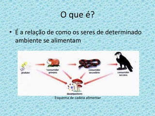 O que é?
• É a relação de como os seres de determinado
ambiente se alimentam
Esquema de cadeia alimentar
 