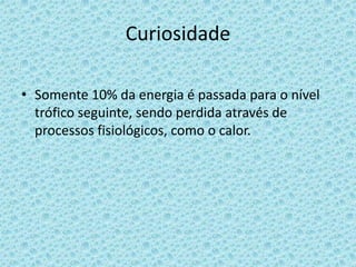 Curiosidade
• Somente 10% da energia é passada para o nível
trófico seguinte, sendo perdida através de
processos fisiológicos, como o calor.
 