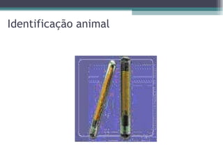 Identificação animal 