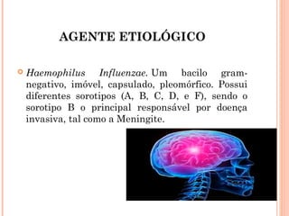 AGENTE ETIOLÓGICO


Haemophilus Influenzae. Um bacilo gramnegativo, imóvel, capsulado, pleomórfico. Possui
diferentes sorotipos (A, B, C, D, e F), sendo o
sorotipo B o principal responsável por doença
invasiva, tal como a Meningite.

 