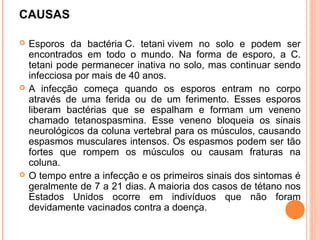 CAUSAS






Esporos da bactéria C. tetani vivem no solo e podem ser
encontrados em todo o mundo. Na forma de esporo, a C.
tetani pode permanecer inativa no solo, mas continuar sendo
infecciosa por mais de 40 anos.
A infecção começa quando os esporos entram no corpo
através de uma ferida ou de um ferimento. Esses esporos
liberam bactérias que se espalham e formam um veneno
chamado tetanospasmina. Esse veneno bloqueia os sinais
neurológicos da coluna vertebral para os músculos, causando
espasmos musculares intensos. Os espasmos podem ser tão
fortes que rompem os músculos ou causam fraturas na
coluna.
O tempo entre a infecção e os primeiros sinais dos sintomas é
geralmente de 7 a 21 dias. A maioria dos casos de tétano nos
Estados Unidos ocorre em indivíduos que não foram
devidamente vacinados contra a doença.

 