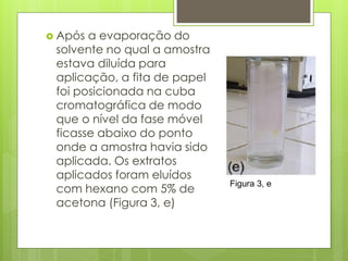  Após a evaporação do
solvente no qual a amostra
estava diluída para
aplicação, a fita de papel
foi posicionada na cuba
cromatográfica de modo
que o nível da fase móvel
ficasse abaixo do ponto
onde a amostra havia sido
aplicada. Os extratos
aplicados foram eluídos
com hexano com 5% de
acetona (Figura 3, e)
Figura 3, e
 