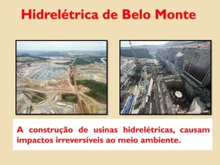 Hidrelétrica de Belo Monte
A construção de usinas hidrelétricas, causam
impactos irreversíveis ao meio ambiente.
 