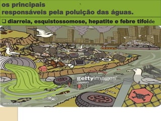 os principais
responsáveis pela poluição das águas.
 diarreia, esquistossomose, hepatite e febre tifoide
1.
 
