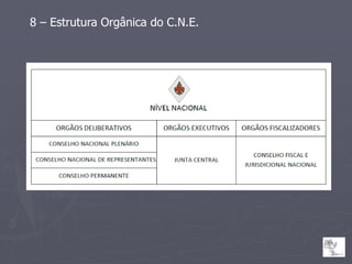 8 – Estrutura Orgânica do C.N.E.
 