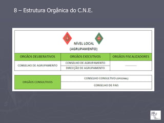 8 – Estrutura Orgânica do C.N.E.
 