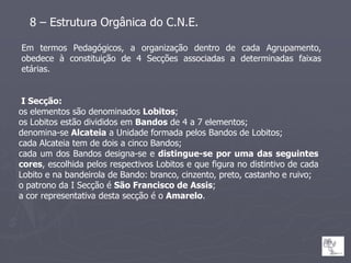 8 – Estrutura Orgânica do C.N.E.

Em termos Pedagógicos, a organização dentro de cada Agrupamento,
obedece à constituição de 4 Secções associadas a determinadas faixas
etárias.


 I Secção:
os elementos são denominados Lobitos;
os Lobitos estão divididos em Bandos de 4 a 7 elementos;
denomina-se Alcateia a Unidade formada pelos Bandos de Lobitos;
cada Alcateia tem de dois a cinco Bandos;
cada um dos Bandos designa-se e distingue-se por uma das seguintes
cores, escolhida pelos respectivos Lobitos e que figura no distintivo de cada
Lobito e na bandeirola de Bando: branco, cinzento, preto, castanho e ruivo;
o patrono da I Secção é São Francisco de Assis;
a cor representativa desta secção é o Amarelo.
 
