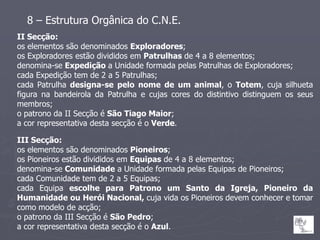 8 – Estrutura Orgânica do C.N.E.
II Secção:
os elementos são denominados Exploradores;
os Exploradores estão divididos em Patrulhas de 4 a 8 elementos;
denomina-se Expedição a Unidade formada pelas Patrulhas de Exploradores;
cada Expedição tem de 2 a 5 Patrulhas;
cada Patrulha designa-se pelo nome de um animal, o Totem, cuja silhueta
figura na bandeirola da Patrulha e cujas cores do distintivo distinguem os seus
membros;
o patrono da II Secção é São Tiago Maior;
a cor representativa desta secção é o Verde.

III Secção:
os elementos são denominados Pioneiros;
os Pioneiros estão divididos em Equipas de 4 a 8 elementos;
denomina-se Comunidade a Unidade formada pelas Equipas de Pioneiros;
cada Comunidade tem de 2 a 5 Equipas;
cada Equipa escolhe para Patrono um Santo da Igreja, Pioneiro da
Humanidade ou Herói Nacional, cuja vida os Pioneiros devem conhecer e tomar
como modelo de acção;
o patrono da III Secção é São Pedro;
a cor representativa desta secção é o Azul.
 