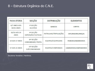 8 – Estrutura Orgânica do C.N.E.




Escuteiros Terrestres / Marítimos.
 