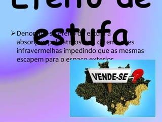 A função das árvoresManutenção da vida;