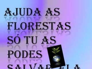 Produção de móveis, utensílios domésticos, esculturas, barcos…;