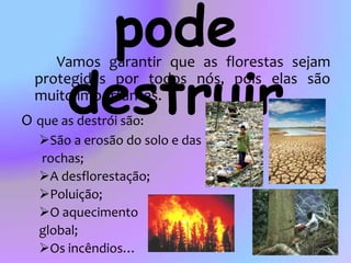 O que as pode destruir		Vamos garantir que as florestas sejam protegidas por todos nós, pois elas são muito importantes.Oque as destrói são:São a erosão do solo e das rochas;A desflorestação;