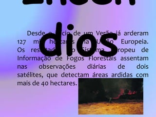 Protecção do solo, nascentes, rios, lagos…;