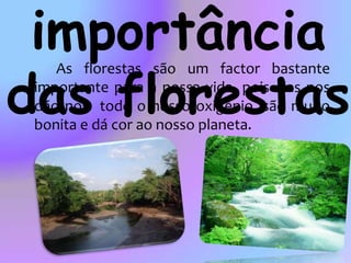A importância das florestas		As florestas são um factor bastante importante para a nossa vida, pois elas nos dão nos  todo o nosso oxigénio, são muito bonita e dá cor ao nosso planeta.