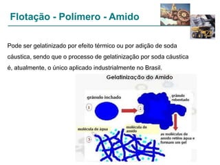 Flotação - Polímero - Amido
Pode ser gelatinizado por efeito térmico ou por adição de soda
cáustica, sendo que o processo de gelatinização por soda cáustica
é, atualmente, o único aplicado industrialmente no Brasil.

 