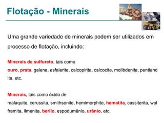 Flotação - Minerais
Uma grande variedade de minerais podem ser utilizados em
processo de flotação, incluindo:
Minerais de sulfureto, tais como

ouro, prata, galena, esfalerite, calcopirita, calcocite, molibdenita, pentland
ita, etc.

Minerais, tais como óxido de
malaquite, cerussita, smithsonite, hemimorphite, hematita, cassiterita, wol
framita, ilmenita, berilo, espodumênio, urânio, etc.

 