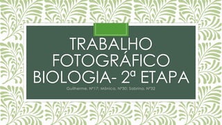 TRABALHO
FOTOGRÁFICO
BIOLOGIA- 2ª ETAPAGuilherme, Nº17; Mônica, Nº30; Sabrina, Nº32
 