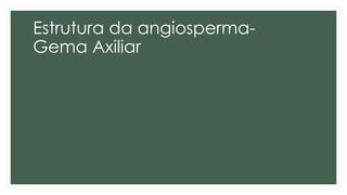 Estrutura da angiosperma-
Gema Axiliar
 