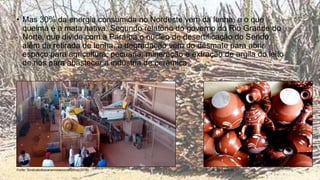 • Mas 30% da energia consumida no Nordeste vem da lenha, e o que
queima é a mata nativa. Segundo relatório do governo do Rio Grande do
Norte, que divide com a Paraíba o núcleo de desertificação do Seridó,
além da retirada de lenha, a degradação vem do desmate para abrir
espaço para agricultura, pecuária, mineração e extração de argila do leito
de rios para abastecer a indústria de cerâmica.
Fonte: Sindicatodosceramistasnordestinos(2018) Fonte: Blogspot(2018)
 
